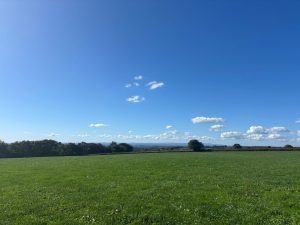 Merrifieldhayes and South Linhay